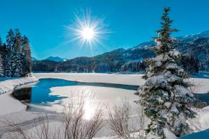レンツァーハイデにあるHotel Schweizerhof Lenzerheideの前景に木がある雪に覆われた湖