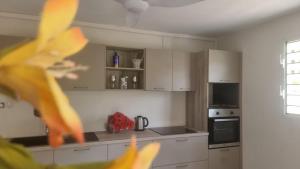 a kitchen with white cabinets and a stove top oven at Éden Home Accès Rivière Privée in Goyave