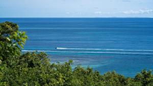 Φυσικό τοπίο κοντά σε αυτό το διαμέρισμα