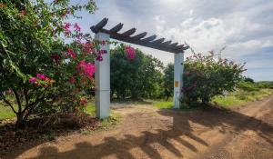 Κήπος έξω από το Le Sirenuse Paradise Haven in Culebra Island