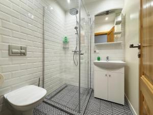 a bathroom with a shower and a toilet and a sink at Mazmuiža in Lenči
