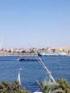 un bateau dans une grande étendue d'eau dans l'établissement The Horizon House, à Louxor