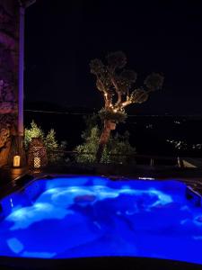 een blauw verlicht zwembad 's nachts met een boom bij Casinha Serabigoes Arouca Passadiços Paiva in Arouca