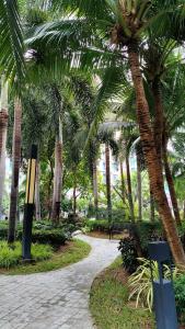 a park with palm trees and a walkway at Dusit Grand Park - Modern Studio Pool View in Jomtien Beach