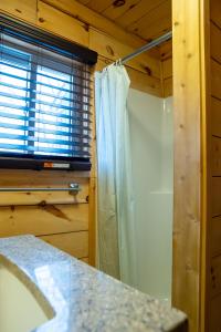 a bathroom with a shower curtain and a window at Winter at Wildwood in Bailieboro +31 photos