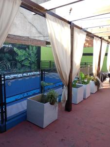 a row of potted plants sitting under a tent at la reyna in Monte Grande