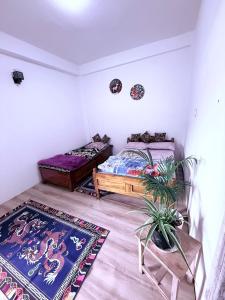 een slaapkamer met 2 bedden en een potplant bij Sleeping Buddha Homestay - Lamahatta in Darjeeling