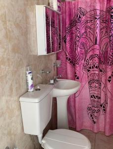 a bathroom with a toilet and a pink shower curtain at Disfrutá tu estadía en Romana Dolores a solo 10 cuadras del parque termal Conseguí un ahorro exclusivo para el parque in Dolores