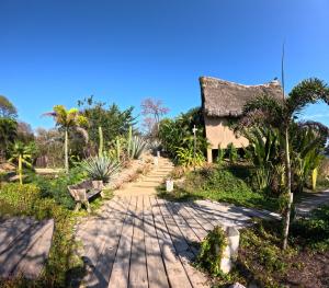a walkway in front of a house with palm trees at Casa A'more in Cuatunalco