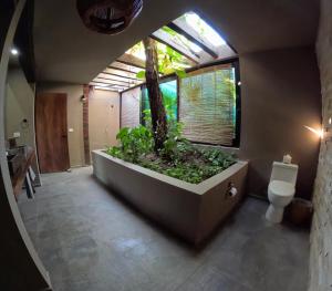 a bathroom with a large tub with a tree in it at Casa A'more in Cuatunalco +76 photos