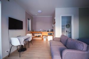 Sjónvarps- og/eða afþreyingartæki á Hotel Hafnarfjall