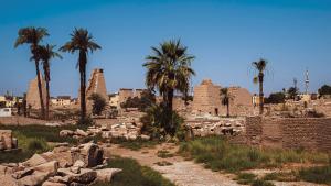 a group of ruins with palm trees and buildings at Bab Al Firdaws House in Luxor
