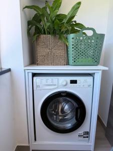 een wasmachine met een plant erop bij Apartamento Machadinho in Vale de Pedras