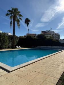 een blauw zwembad met palmbomen en een gebouw bij Apartamento Machadinho in Vale de Pedras