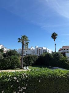 een park met palmbomen en een gebouw op de achtergrond bij Apartamento Machadinho in Vale de Pedras