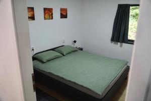 - une chambre avec un lit doté de draps verts et une fenêtre dans l'établissement Cabana de la râu! Ciubăr aero hidro masaj, à Măguri-Răcătău