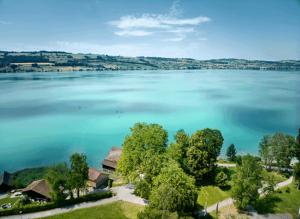 Φυσικό τοπίο κοντά σε αυτό το διαμέρισμα