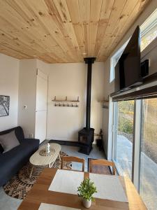 Notre-Dame-des-MontsにあるHebergement du grenier 2 0のソファと暖炉のあるリビングルーム