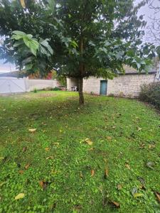 Ein Baum mitten auf einem Rasenplatz in der Unterkunft Gite de campagne in Restigné + 3 Fotos