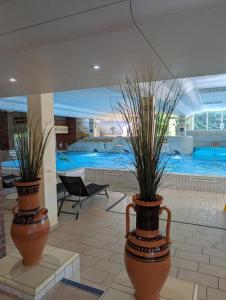 Πισίνα στο ή κοντά στο Ferienwohnung Wipfelglück mit Pool und Sauna