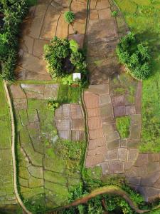 Vista aérea de un sendero de piedra con plantas en Forest & Fields Retreat by Sinharaja, en Deniyaya