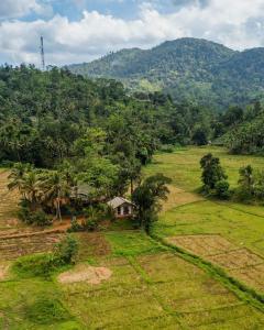 Φυσικό τοπίο κοντά σε αυτό το bed & breakfast