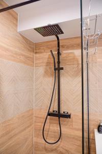 a shower in a bathroom with a shower head at Le Cocon à 15 minutes de Disneyland Paris in Bussy-Saint-Georges