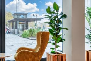 a chair and a plant in a room with a window at Hotel Columbia in Berlin