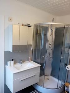 a bathroom with a sink and a shower at Wellness und Wander Oase Burgwald  +59 photos