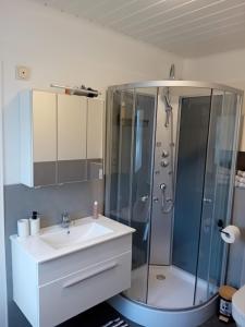 a bathroom with a sink and a shower at Wellness und Wander Oase Burgwald 