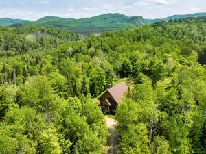 Vue de tête d'une cabine au milieu d'une forêt dans l'établissement Rustic Chalet & Serenity in Mont Blanc, à Saint-Faustin–Lac-Carré