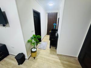 a hallway with a potted plant in a room at Hany pyramids view in Cairo +17 photos