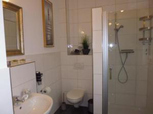 a bathroom with a shower and a toilet and a sink at Ferienhaus "Schöne Aussicht" in Neue Tiefe Fehmarn +10 photos