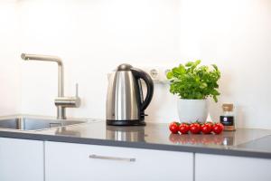 a kitchen counter with a sink and some tomatoes at Inselhuus Fehmarn 1 in Petersdorf auf Fehmarn +21 photos