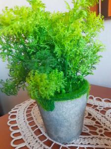 Φωτογραφία από το άλμπουμ του Cozy Studio East-Side σε Cluj-Napoca