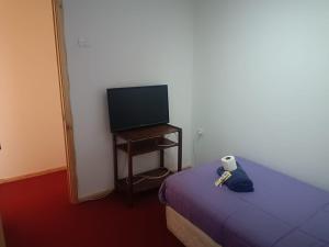 ein Schlafzimmer mit einem Bett und einem TV auf einem Tisch in der Unterkunft La Verbena House in Viña del Mar