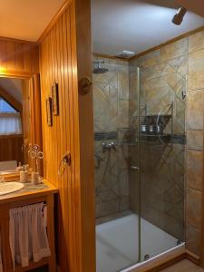 a shower with a glass door in a bathroom at Beautiful Plot Lake and Volcano View in Puerto Varas