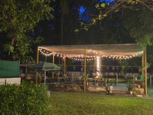 Zahrada ubytování Saaz Resort