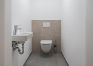 a bathroom with a white toilet and a sink at Apartment Lisa Hinterstoder in Hinterstoder