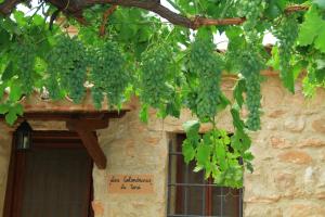 Zahrada ubytování Alojamientos Rurales Cortijo Las Golondrinas