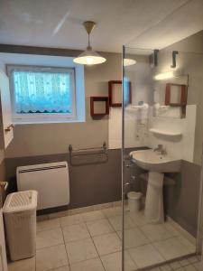 Un baño con lavabo y ducha de cristal. en Gîte la Nobleterie - Zoo de Beauval 35 min, en Frédillé 31 fotos más