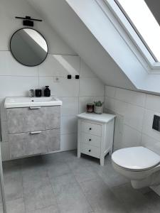 a bathroom with a toilet and a sink and a mirror at Gemütliche Ferienwohnung in Neustadt am Rübenberge in Neustadt am Rübenberge
