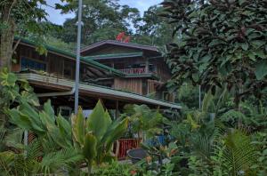 Gallery image of Hotel La Isla Inn in Puerto Viejo