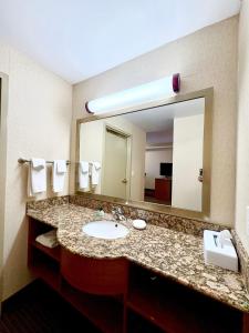 a bathroom with a sink and a large mirror at Waterloo Suites Hotel, Trademark Collection by Wyndham in Waterloo +58 photos