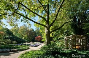 a garden with a tree and a small greenhouse at Holiday Inn Express Gütersloh by IHG in Gütersloh