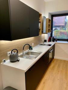 a kitchen with a sink and a tea kettle on the counter at Apartmány v Javorné na Šumavě in Čachrov