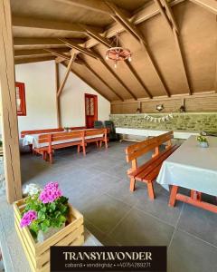 Nhà hàng/khu ăn uống khác tại Cabana Transylwonder