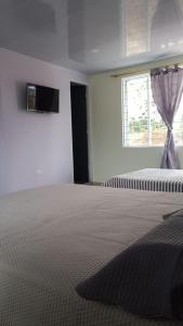 ein Schlafzimmer mit einem großen Bett mit Fenster in der Unterkunft Greenforest 