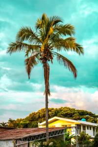 Příroda nedaleko penzionu