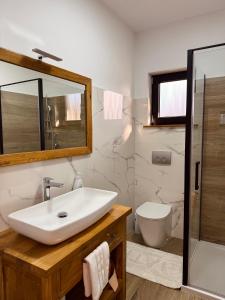 a bathroom with a sink and a toilet and a mirror at Cabana 9 in Borşa +24 photos